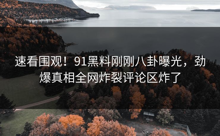 速看围观！91黑料刚刚八卦曝光，劲爆真相全网炸裂评论区炸了