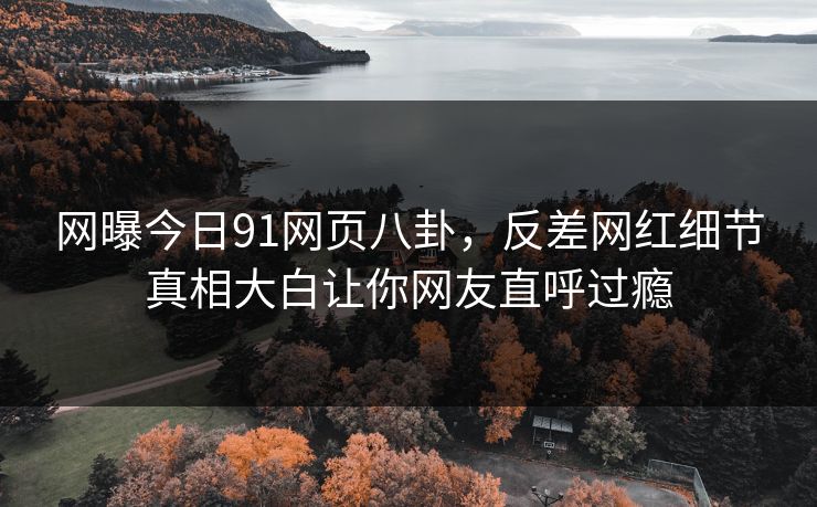 网曝今日91网页八卦,反差网红细节真相大白让你网友直呼过瘾