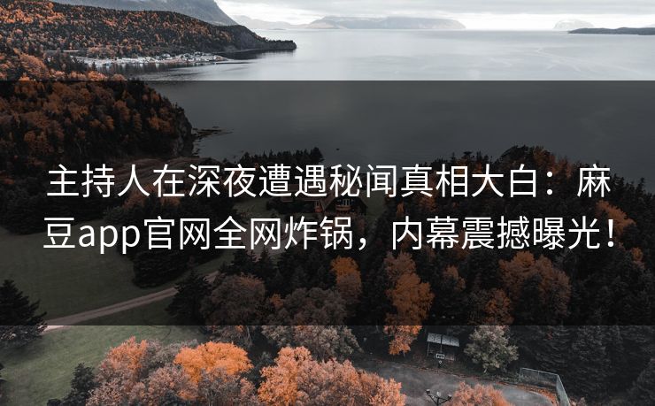 主持人在深夜遭遇秘闻真相大白：麻豆app官网全网炸锅，内幕震撼曝光！