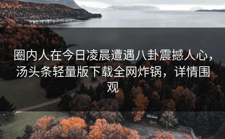 圈内人在今日凌晨遭遇八卦震撼人心，汤头条轻量版下载全网炸锅，详情围观