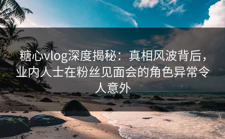 糖心vlog深度揭秘：真相风波背后，业内人士在粉丝见面会的角色异常令人意外
