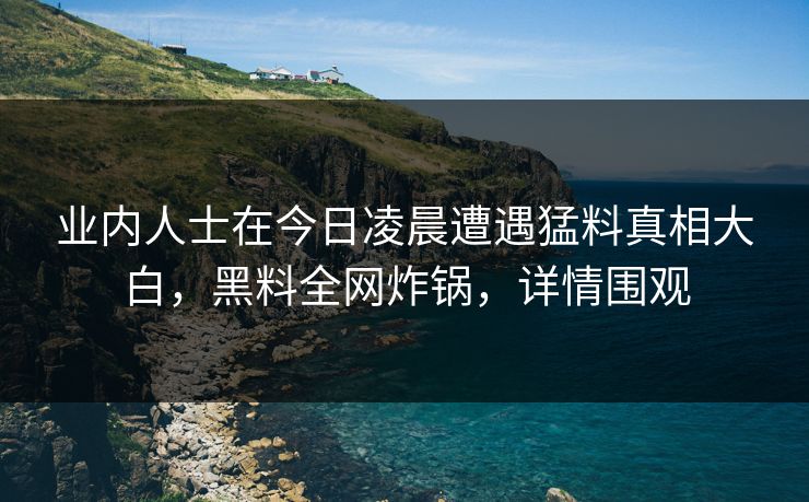 业内人士在今日凌晨遭遇猛料真相大白，黑料全网炸锅，详情围观