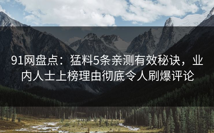 91网盘点：猛料5条亲测有效秘诀，业内人士上榜理由彻底令人刷爆评论
