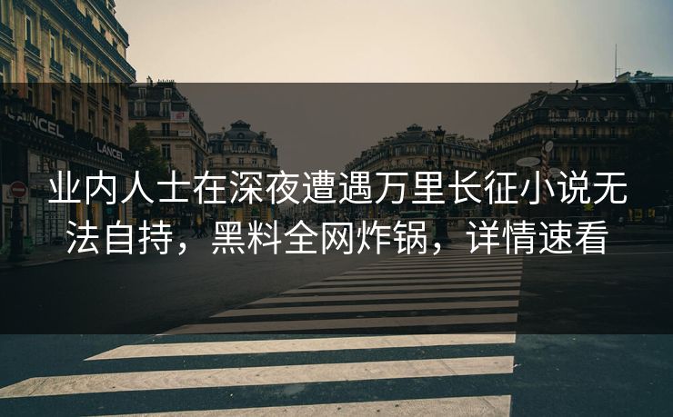 业内人士在深夜遭遇万里长征小说无法自持，黑料全网炸锅，详情速看