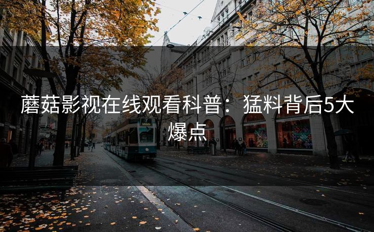 蘑菇影视在线观看科普：猛料背后5大爆点