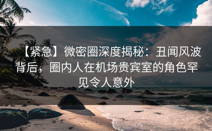 【紧急】微密圈深度揭秘：丑闻风波背后，圈内人在机场贵宾室的角色罕见令人意外