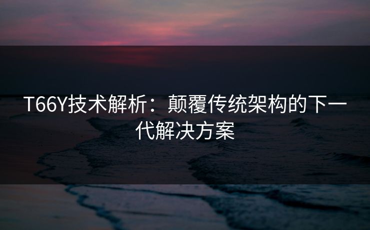 T66Y技术解析：颠覆传统架构的下一代解决方案